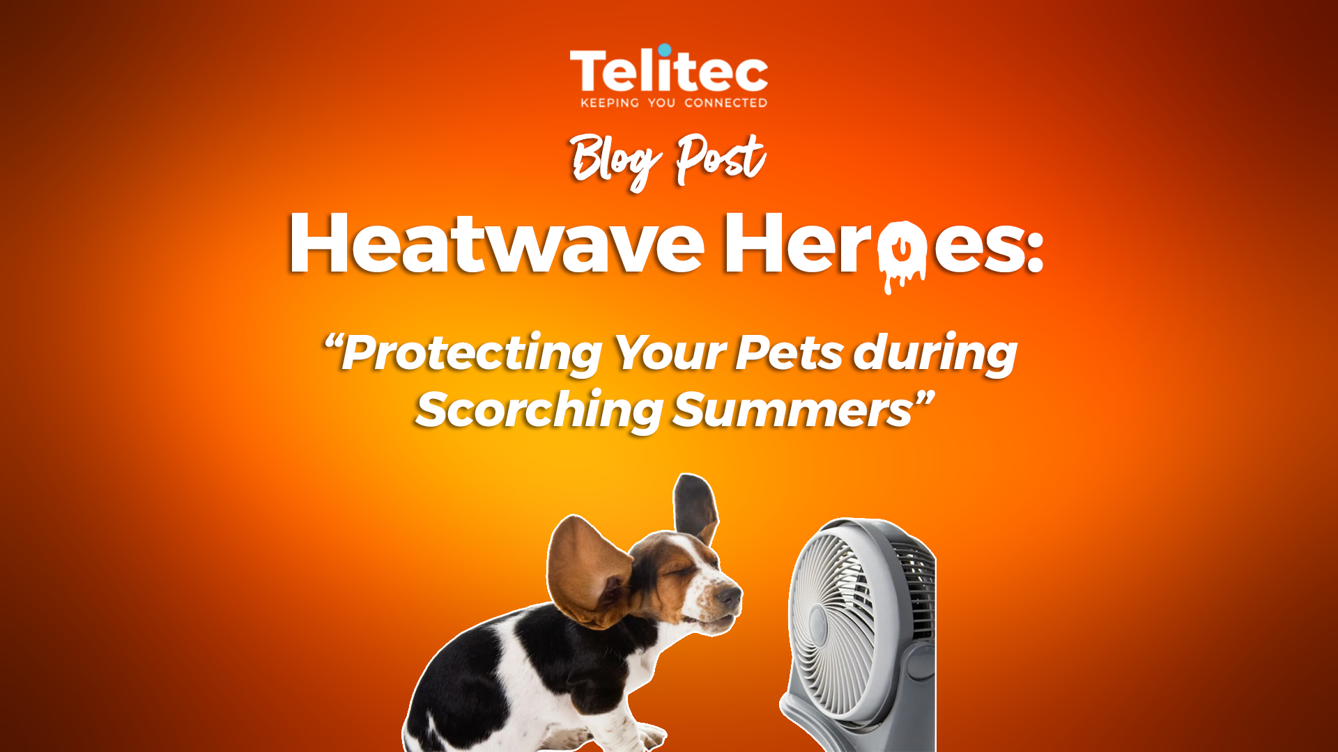 pawsitively-prepared-safeguarding-your-pets-in-hot-weather